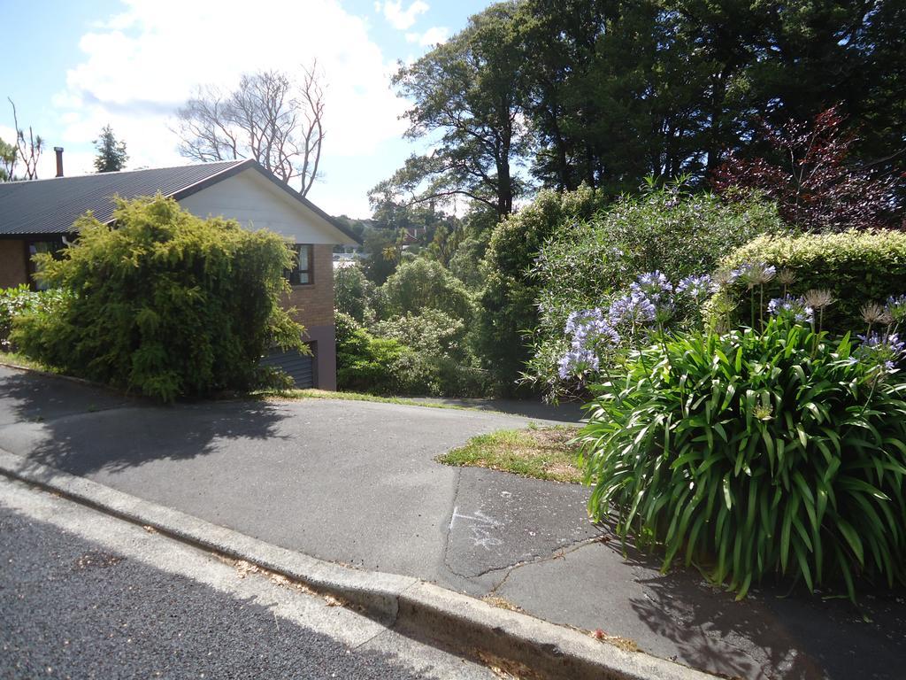 Wakari Holiday Home Dunedin Exteriér fotografie